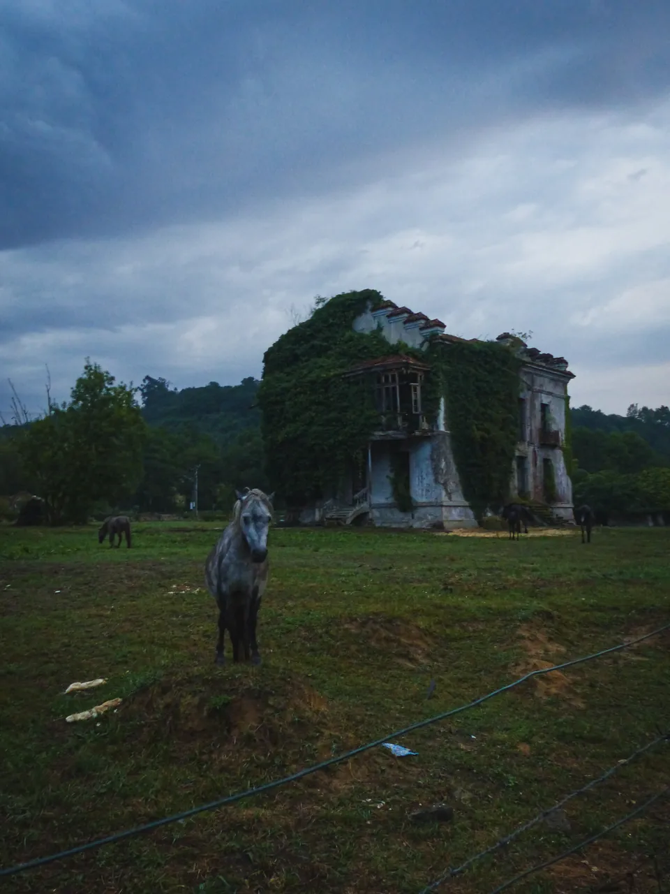 Caballo y casona