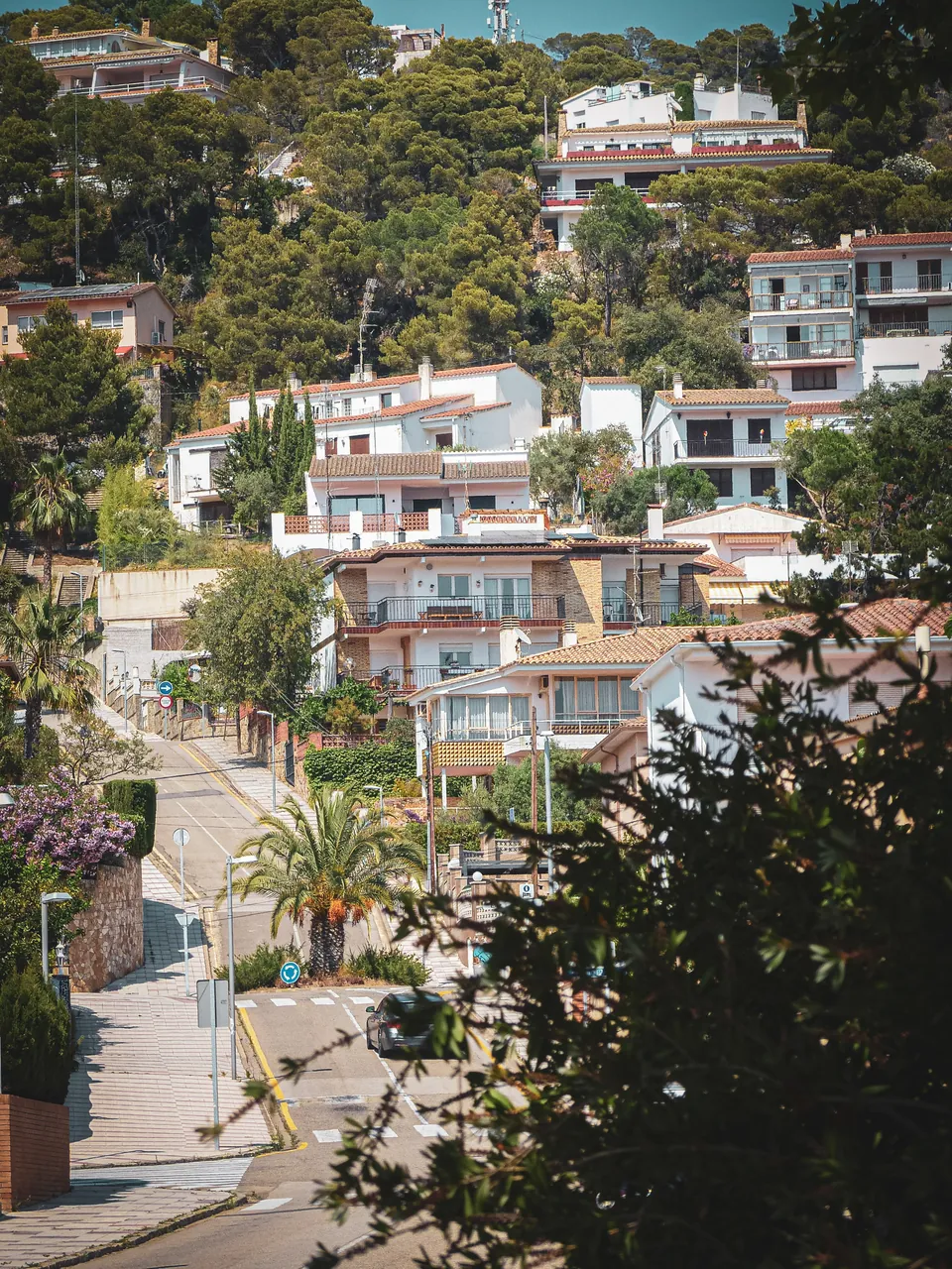 Casas y calle