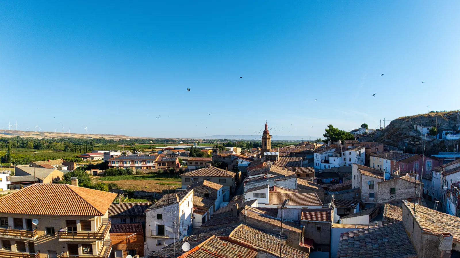 Tejados y campanario