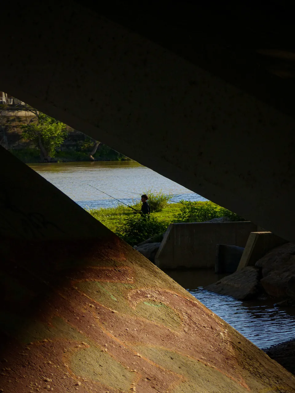 Bajo el puente